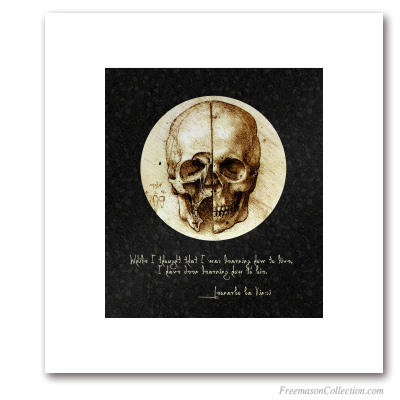 The Da Vinci Skull. Leonardo Da Vinci, 1489. Masonic Symbol
